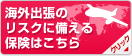 �C�O�o���̃��X�N�ɔ�����ی��͂�����