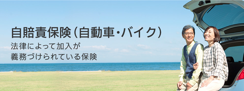 自賠責保険 自動車 バイク 公式 損保ジャパン