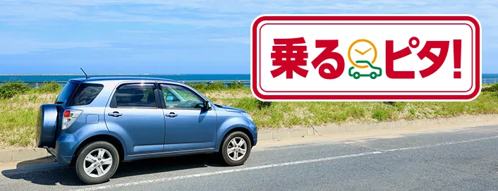 乗るピタ
