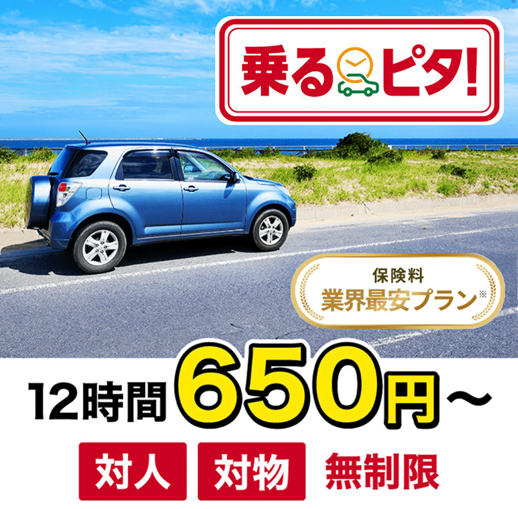 乗るピタ！(1日自動車保険) 出発前に自宅ですぐ入れる！ | 【公式 ...