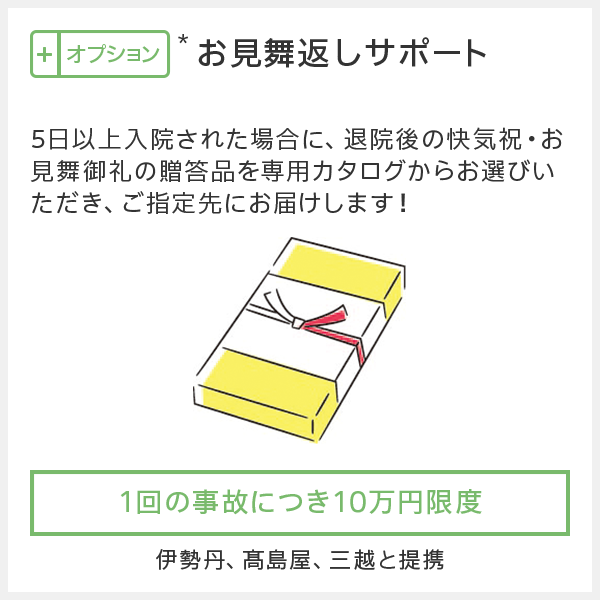 ｔｈｅ クルマの保険 の人身傷害保険 公式 損保ジャパン