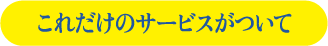これだけのサービスがついて