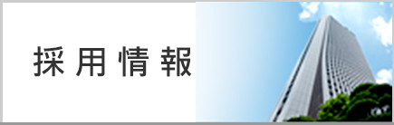 採用情報 公式 損保ジャパン