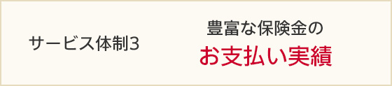 事故対応 ロードアシスタンス 乗るピタ 公式 損保ジャパン